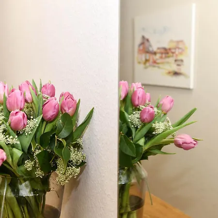 Mare Nostrum 4 * Westerland